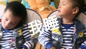 娱乐吃瓜酱打瞌睡,捕捉明星萌态瞬间  第2张