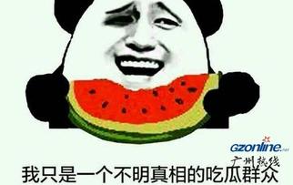 在线观看吃瓜群众视频,在线观看吃瓜视频背后的现象解析  第2张