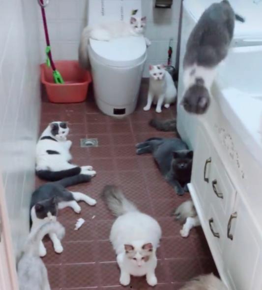 娱乐吃瓜酱出门忘关空调,娱乐吃瓜酱上演“电费刺客” 第2张 娱乐吃瓜酱出门忘关空调,娱乐吃瓜酱上演“电费刺客” 第2张