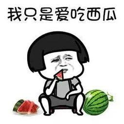 吃瓜娱乐圈抽象  第3张